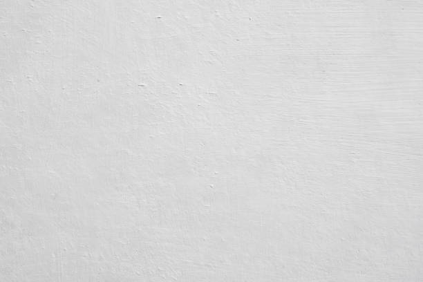 Mold Odor Removal Services in San Luis Obispo, CA